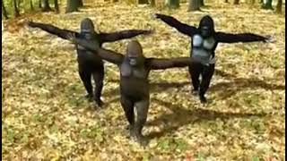 Ego-Crazy Things We do #3monkeys #Monkey Dance