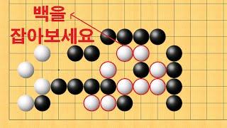 바둑 묘수 사활 - 기상천외 묘수로 백을 잡아보세요