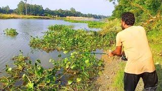 বাদাই নদীতে বোয়াল মাছ ধরা  fishing video #fishing #hookfishing #বোয়ালমাছ  #মাছধরা