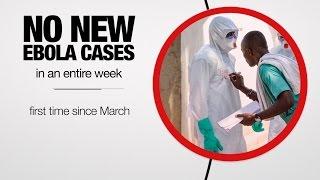 Global :60 - Ebola milestone, deforestation setback, and South Sudanese espresso - 10/8