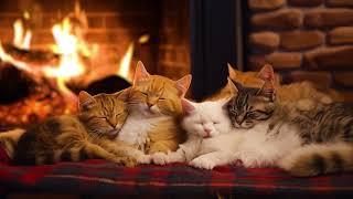 The Purring of Sleeping Kittens under a warm Fireplace  Relax and Sleep