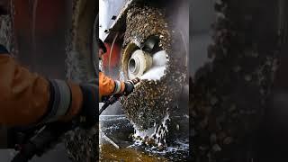 Ship fan cleaning #sea #engine #ai #whale #shark