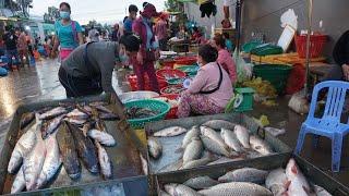 Amazing Site Selling Fish & SeaFood @Prek Phnov - Early Morning Fish Market at Prek Phnov Bridge