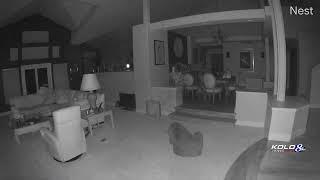 Caught on video: Bear enters south Reno home