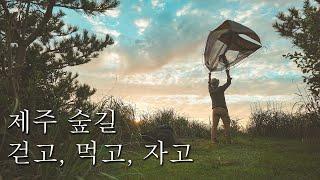 walking in Jeju island deep forest, eat, and camping