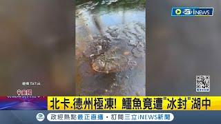 美國北卡.德州極凍! 鱷魚竟遭"冰封"湖中 變溫動物"低代謝狀態" 僅需平時1/10能量 鼻孔露出湖面成保命關鍵│記者 王少筠│【國際局勢】20240125│三立iNEWS