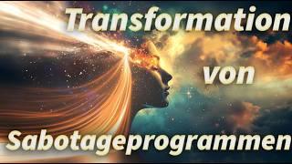 Transformation von Sabotageprogrammen - Botschaften von Salvador - Christiane Hansmann