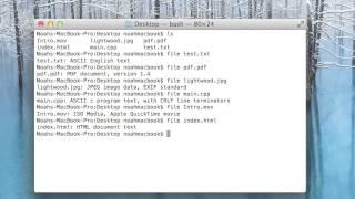 Terminal Lesson 19 - File types
