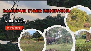 Bandipur Tiger Reservior @kiran_veerashaiva