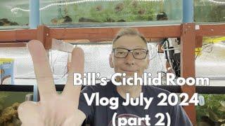 Bill's Cichlid Room Vlog July 2024 Part 2