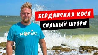 Бердянская коса. Сильный шторм! Есть ли медузы и блохи? Стоимость жилья. Отдых в Бердянске