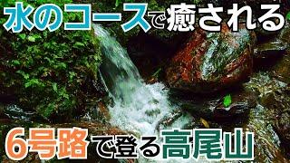 【水のコース】自然あふれる6号路で登る高尾山！