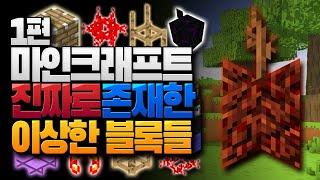 썩은물만 아는 이상한 블록들 1편 마인크래프트 (Minecraft) [블루위키]