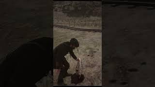 Desert Iguana Lizard Hunt #rdr2 #shorts #spdxstreamgaming #edit