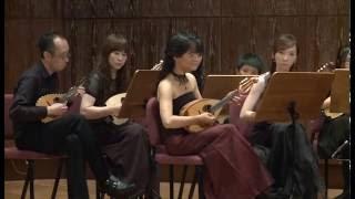 【2013Taiwan Mandolin Festival 】Celtic Fiddle Tune｜Taipei Mandolin Ensemble 台湾マンドリン楽団