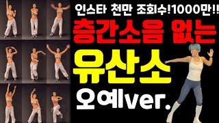 천만뷰 1000만뷰 층간소음 없는 유산소 운동. 인증된 효과! 효과 보장