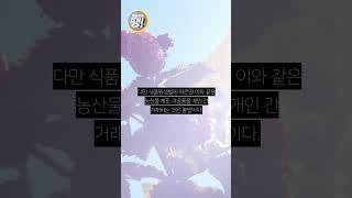 싸다고 샀더니…고춧가루 등 직거래 '불법 주의'
