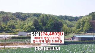 임야.24,480평.매가 평당6,127원.공시지가 평당 5,587원.약초재배지.대토용임야