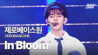 제로베이스원(ZEROBASEONE) - In Bloom 청량하면 제베원