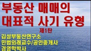 부동산 사기 : 부동산 매매의 대표적 사기 유형