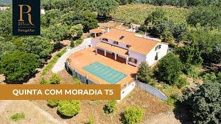 Quinta com 2,6 hectares em Ribeira de Nisa | REF. ML116