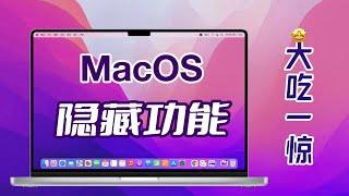 【Mac用户必看】MacOS隐藏功能&使用技巧！12年老用户都不知道的神操作！【翻滚吧阿辉】