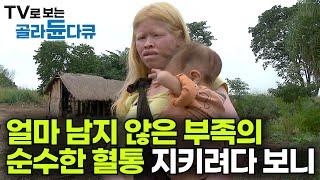 과거 남미대륙을 평정하며 인구의 절반 이상을 차지했지만, 현재는 겨우 10% 미만이 살아남아 겨우 전통을 잇는다는 인디오 부족┃현대를 살아가는 과라니족┃인류원형탐험┃#골라듄다큐