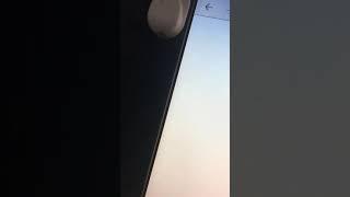 #추량파의 추태 그의 추태의 끝은 어디인가?#에이치엘비