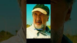 The boy saved a dolphin.#movie，#shorts