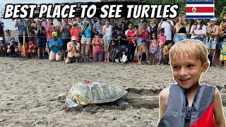 We Saw a TURTLE RELEASE in Costa Rica | Tortuguero National Park with kids