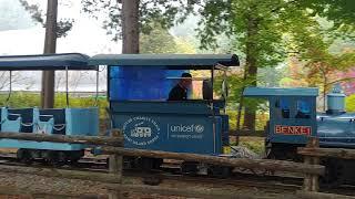 다람쥐가 뛰노는 남이섬 내 꼬마기차 영상 View of Cute Train in NAMI island.Korea