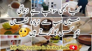 aj ki busy routine or kuch zaroori batiny /swiss lifestyle/Europe vlog