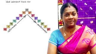 Fundamentals of carnatic music / அடிப்படை இசை விளக்கம்/ how to learn swara varisai