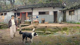 Leaving the City, Couple Returns to Village to Renovate Grandmother's Old House to Have a Baby