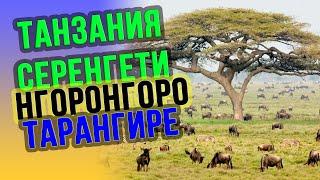 Сафари тур в Танзанию  Парки: Серенгети, Нгоронгоро, Тарангире 