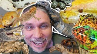ALL MY PET REPTILES IN ONE VIDEO!! | BRIAN BARCZYK