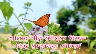 গ্রামের শীত মৌসুমে রিয়েল কিছু প্রাকৃতিক সৌন্দর্য gram ExpressBD