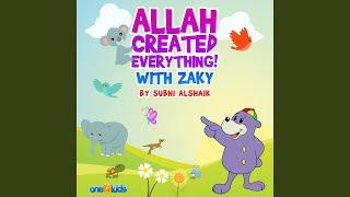 Allah Created Everything