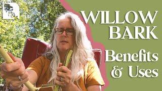 Willow Bark Benefits and Uses