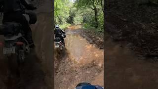 Southern India on Himis. 2024 Royal Enfield Himalayan 450 Jeading to Motoverse