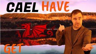 Welsh Language Lesson: CAEL - How 'to have' works in Cymraeg