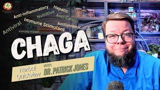 Chaga - The Tree Fungus Herbal Powerhouse! | Full Herbal Lesson