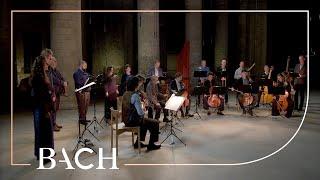 Bach - The Art of Fugue BWV 1080 - Sato | Netherlands Bach Society