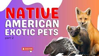 Shocking Secrets of US Native Exotic Pets Part 2