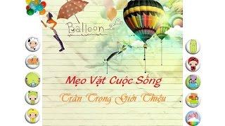 Mẹo Vặt Cuộc Sống - Mẹo Vặt Với Giấm