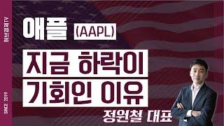 애플 (AAPL) - 지금 하락이 기회인 이유