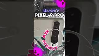 Pixel 9 Pro Leaks 2024?