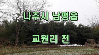 부동산경매 - 전남 나주시 남평읍 교원리  전