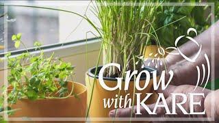 Grow with KARE: Indoor herb gardening for winter