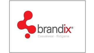 Exploring the Journey of Brandix Apparel Solutions Ltd in Ridigama (2015)